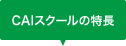 CAIスクールの特長