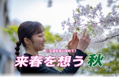 さあ!定期試験対策!!